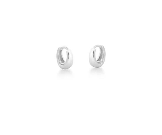 Brinco argola pequena grossa Prata 925